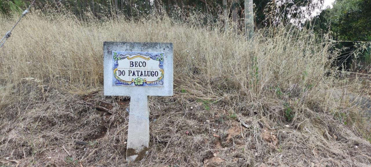 Апартаменты Beco Do Patalugo Салир-де-Матуш Экстерьер фото